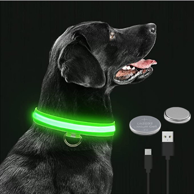 Coleira Led - Mantenha seu cão visível durante a noite