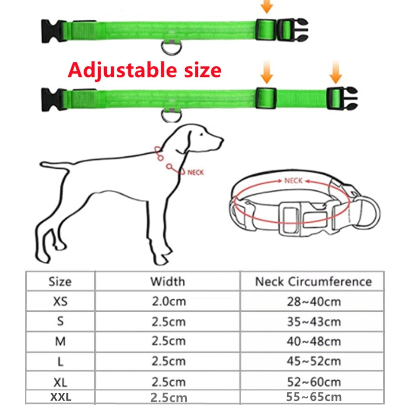 Coleira Led - Mantenha seu cão visível durante a noite