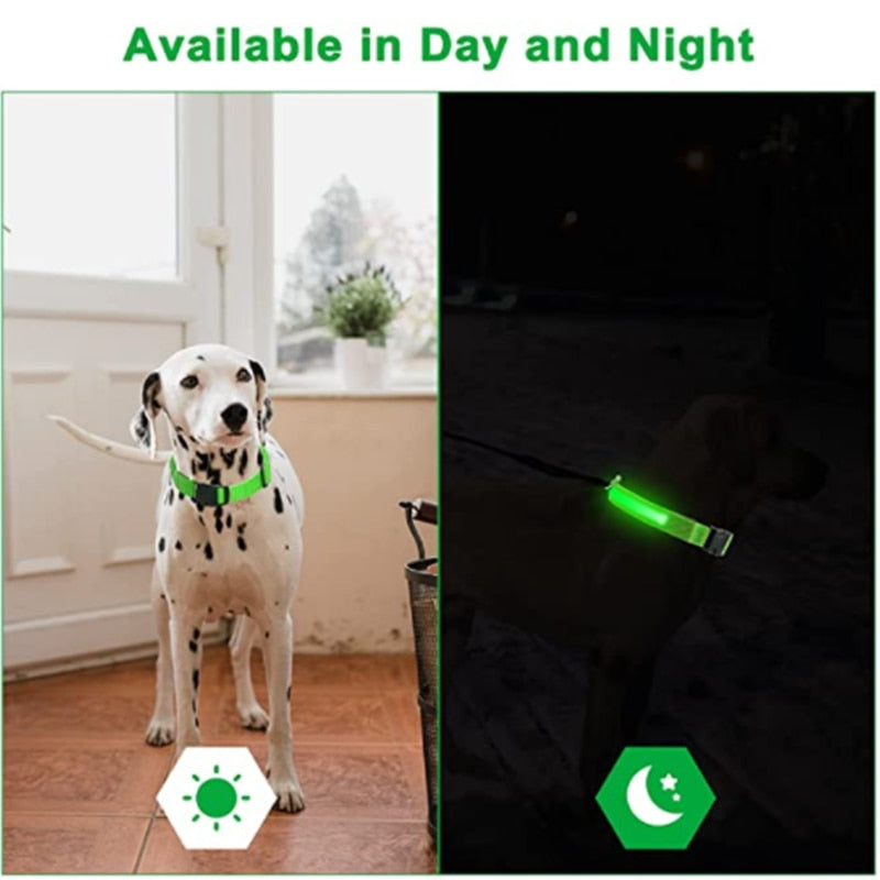 Coleira Led - Mantenha seu cão visível durante a noite