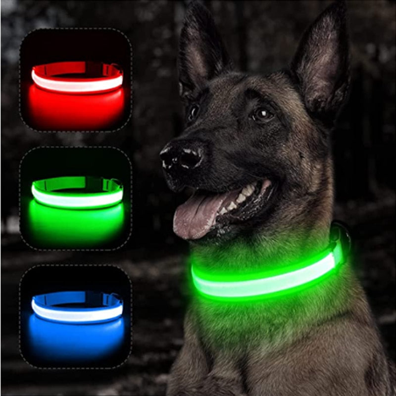 Coleira Led - Mantenha seu cão visível durante a noite